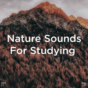ดาวน์โหลดและฟังเพลง Ocean Sounds For Studying พร้อมเนื้อเพลงจาก Deep Sleep