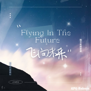 Album Flying In The Future from Awer