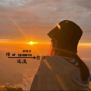 Listen to 伤口还没愈合 song with lyrics from 疯晓沫