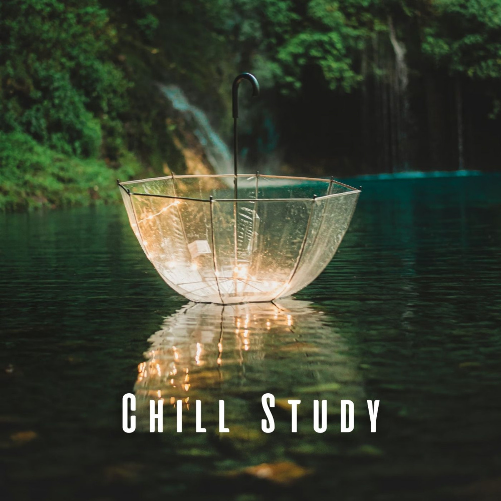 Rainy Study Session
