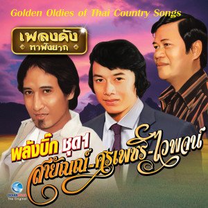 เพลงดังหาฟังยาก - ลูกทุ่งรวมฮิต พลังบิ๊ก ชุด 1 (Golden Oldies of Thai Country Songs.)