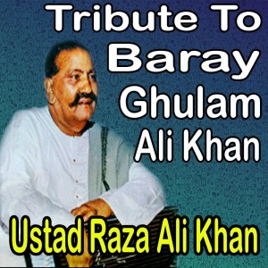 Dengarkan Wo Jo Tum Mein Hum Mein Qarar Tha lagu dari Ustad Raza Ali Khan dengan lirik