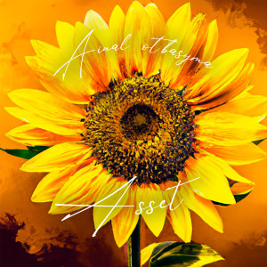 Listen to Ainal Otbasyma song with lyrics from Asset