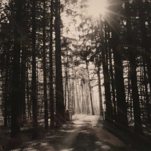 Listen to Runnin' (Explicit) song with lyrics from Pace