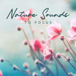 Album Nature Sounds to Focus (Calming Music for Concentration Boost, Stay Relaxed during Studying, Stress Relief) oleh Relaxing Office Music Collection