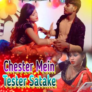 Listen to Chester Mein Tester Satake song with lyrics from Indrajeet Rao