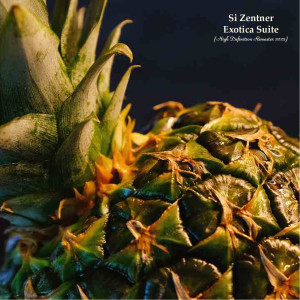 Album Exotica Suite (Remastered 2023) from Si Zentner