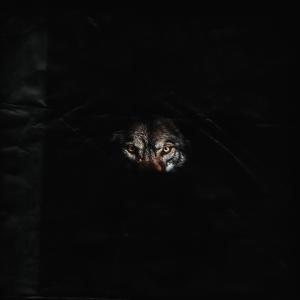 Fly Jordy的專輯BETTA RUN (Explicit)