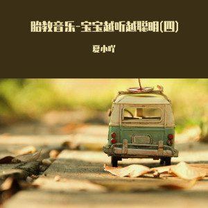 Listen to 睡吧，宝贝 (胎教音乐) song with lyrics from 夏小吖