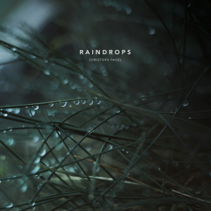 Christoph Pagel的專輯Raindrops