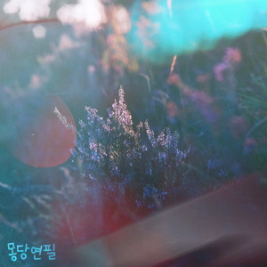 몽당연필的专辑진심
