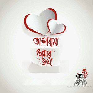 Listen to Valobasha Tomar Jonno song with lyrics from Palash Ahmed