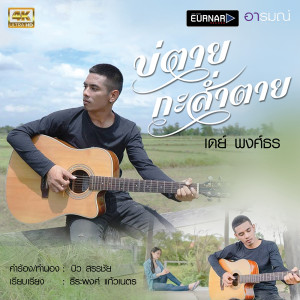 ดาวน์โหลดและฟังเพลง บ่ตายกะส่ำตาย พร้อมเนื้อเพลงจาก เดย์ พงศ์ธร