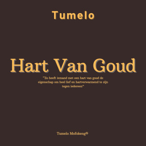 Listen to Hart van Goud song with lyrics from Tumelo