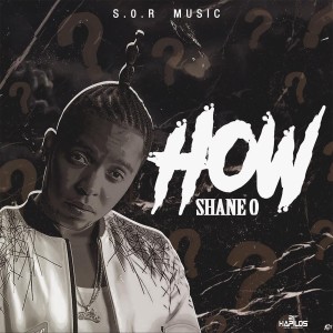收聽Shane O的How歌詞歌曲
