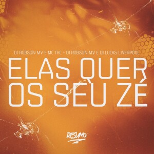 Album Elas Quer Os Seu Zé from DJ Robson MV