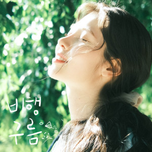 Listen to 비행구름 (Contrail) (Inst.) song with lyrics from 예빈