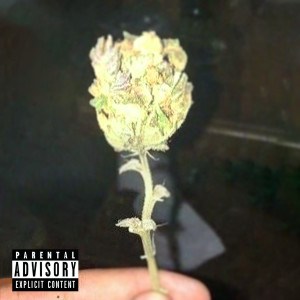 收听https://open.spotify.com/artist/3UVJyZs86lDTEJ9gU93H17?si=rZ3fDddLTjuayXzVy4j-xg的Blüte (Explicit)歌词歌曲