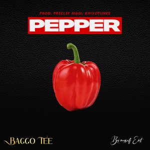 Listen to Pepper song with lyrics from BAGGOTEE