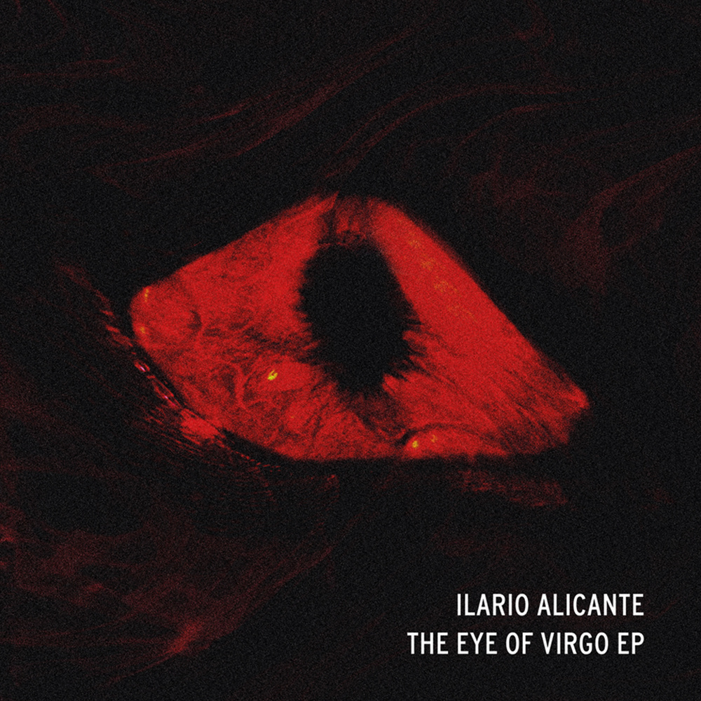 The Virgo Odissey (Original Mix)