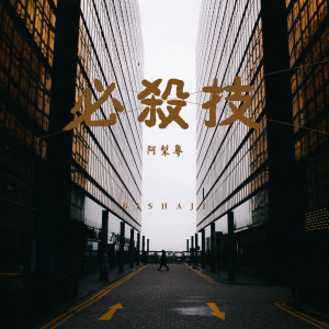 Dengarkan 必杀技 (DJ阿卓版) lagu dari 阿梨粤 dengan lirik