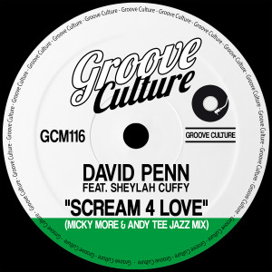 Album Scream 4 Love (Micky More & Andy Tee Jazz Mixes) from David Penn