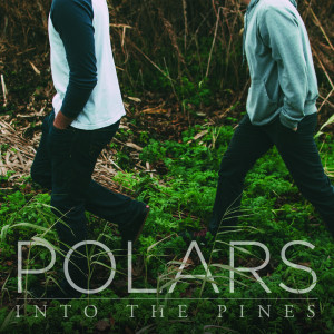 收听Polars的Into the Pines歌词歌曲