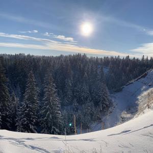 收聽Brad Gariepy的The eternal quest for gluten free bread (feat. Bronwyn & Prillzilla)歌詞歌曲