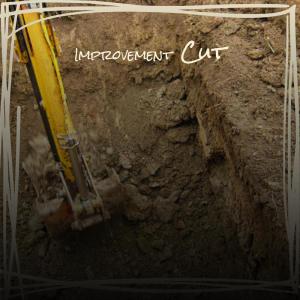 Album Improvement Cut from 