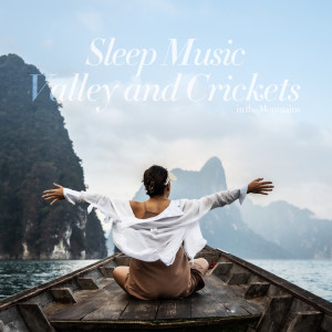 Healing Nature的專輯Sleep Music Valley and Crickets in the Mountains