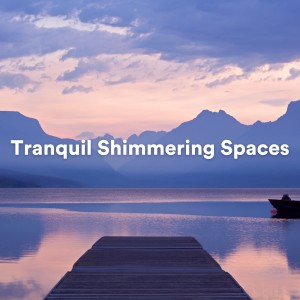Album Tranquil Shimmering Spaces from Amazing Spa Music