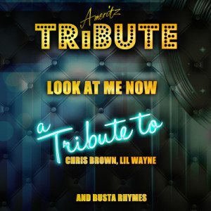 ดาวน์โหลดและฟังเพลง Look At Me Now (A Tribute to Chris Brown, Lil Wayne and Busta Rhymes) พร้อมเนื้อเพลงจาก Ameritz Top Tracks