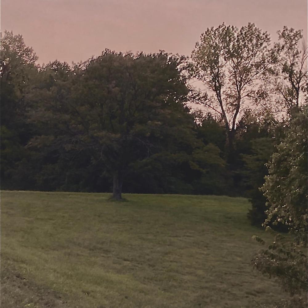 Mankind (feat. Brxnt) (Explicit)