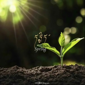 Album Spring from 
