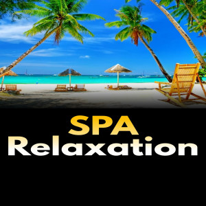 收聽Spa Music Relaxation的Spa Music歌詞歌曲