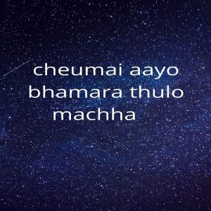 收聽Bindu Pariyar的Cheumai Aayo Bhamara Thulo Machha歌詞歌曲