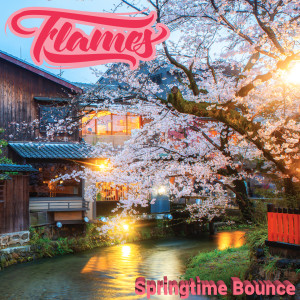 Flames的专辑Springtime Bounce