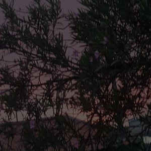 ดาวน์โหลดและฟังเพลง Naquela Festa พร้อมเนื้อเพลงจาก kloserr