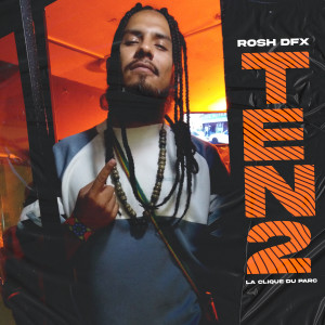 收聽ROSH DFX的Ten2歌詞歌曲