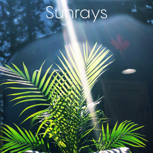 Album Sunrays from TwoSix