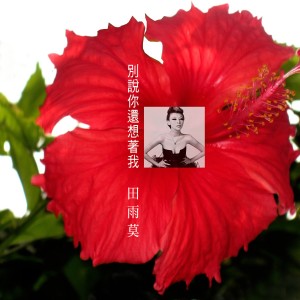 收聽田雨莫的想我了嗎歌詞歌曲