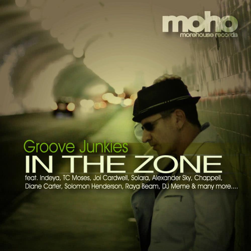 In the Zone ( feat Groove Junkies )(Full Album Continuous Mix)