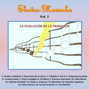ดาวน์โหลดและฟังเพลง Sin Ti พร้อมเนื้อเพลงจาก Electro-Marimba