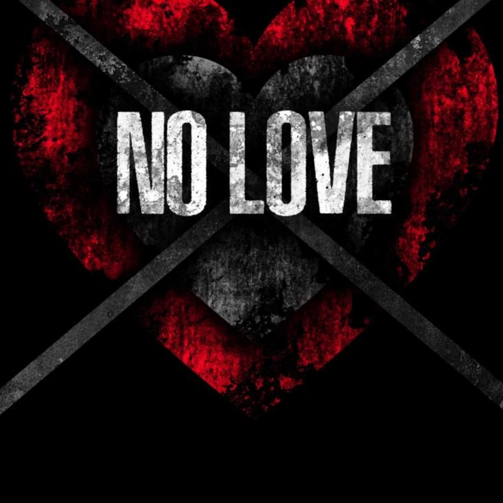 No Love (feat. Newborn) (Explicit)