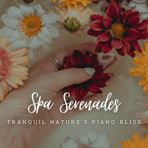 อัลบัม Tranquil Nature's Piano Bliss: Spa Serenades ศิลปิน Spa Music Hour