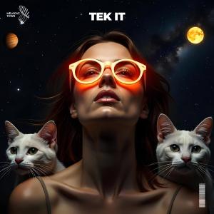 Listen to tek it (slowed + reverb) song with lyrics from Vallvete