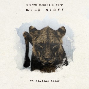 收聽Gianni Marino的Wild Night歌詞歌曲