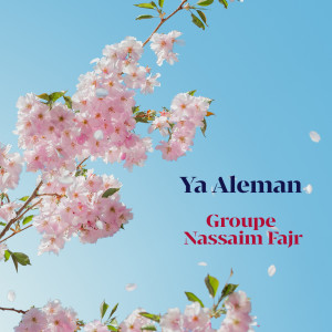 Listen to Al Burdah song with lyrics from Groupe Nassaim Fajr