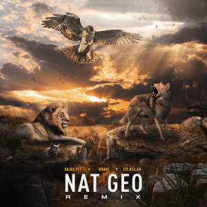 Listen to Nat Geo (Remix|Explicit) song with lyrics from Falke 912