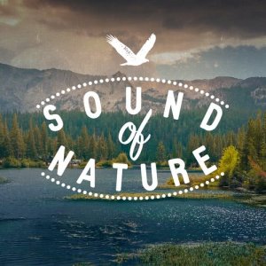 ดาวน์โหลดและฟังเพลง Feathers พร้อมเนื้อเพลงจาก Outside Broadcast Recordings